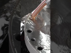 TM223 Twin-screw extrudervat voor de productie van pompen